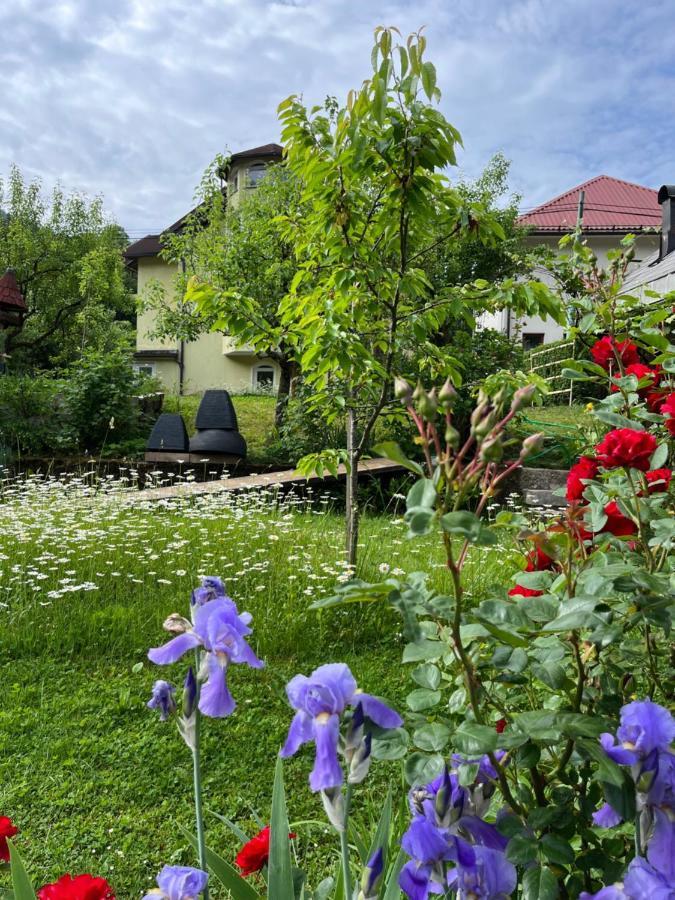 Riverside Villa Avo - Apartment Martin Spodnja Idrija 외부 사진